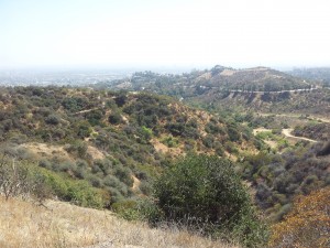 20130530_150231