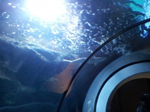 20130603_123325