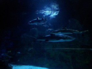 20130603_123355