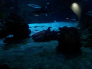 20130603_123535