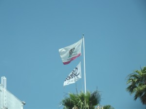 DSCF2633