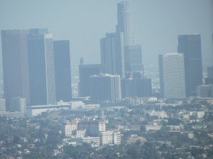 DSCF2645