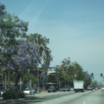 DSCF2732 DSCF2732