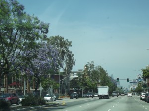 DSCF2732