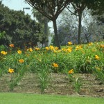 DSCF2746 DSCF2746