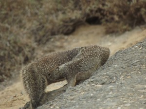 DSCF2829