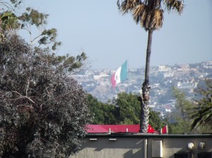 DSCF2842