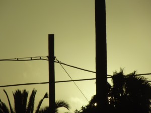 DSCF2847