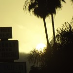 DSCF2848 DSCF2848