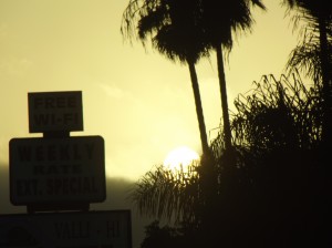 DSCF2848