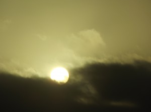 DSCF2849