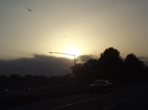 DSCF2850