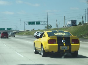DSCF3160