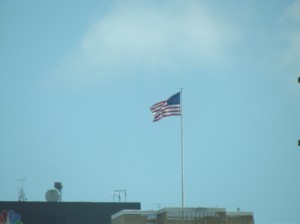 DSCF3164