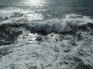 DSCF3174