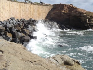 DSCF3178