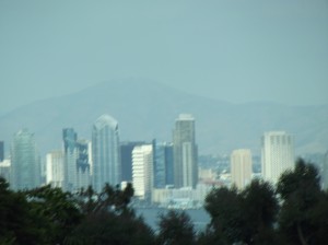 DSCF3230