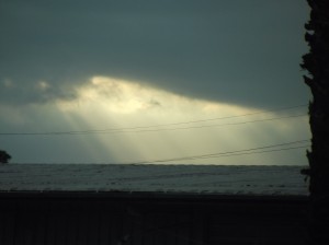 DSCF3265