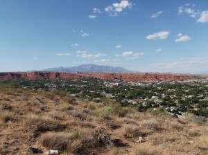 DSCF3296