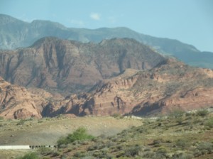 DSCF3309
