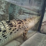20140609_154000