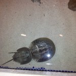 20140609_155043