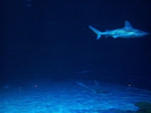 20140609_155505