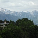 DSCF3446
