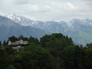 DSCF3446