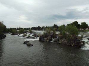 DSCF3454