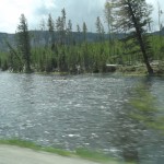 DSCF3466