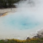 DSCF3480