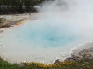 DSCF3480