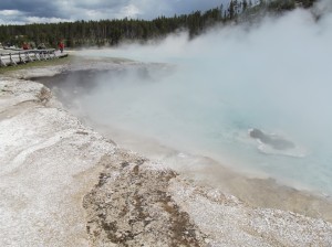 DSCF3494