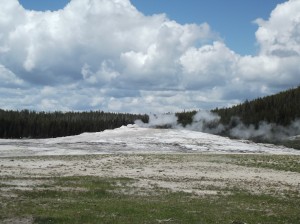DSCF3504