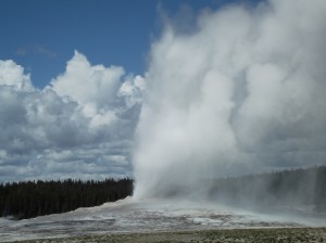DSCF3529