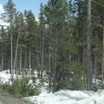 DSCF3565