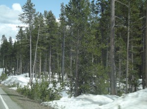 DSCF3565