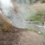DSCF3595