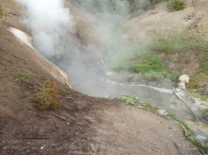 DSCF3595