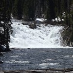 DSCF3637