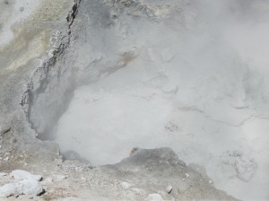 DSCF3649