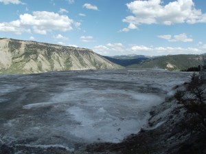 DSCF3665