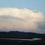 DSCF3695