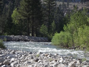 DSCF3729