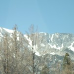 DSCF3735