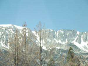 DSCF3735