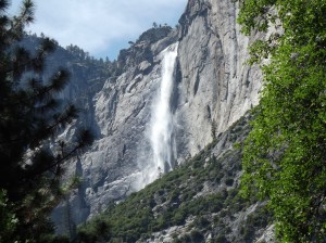 DSCF3758