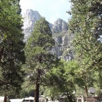 DSCF3766