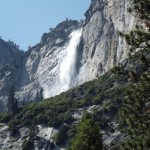 DSCF3768